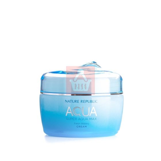 Nature Republic Super Aqua Max Fresh Watery Cream - 80ml