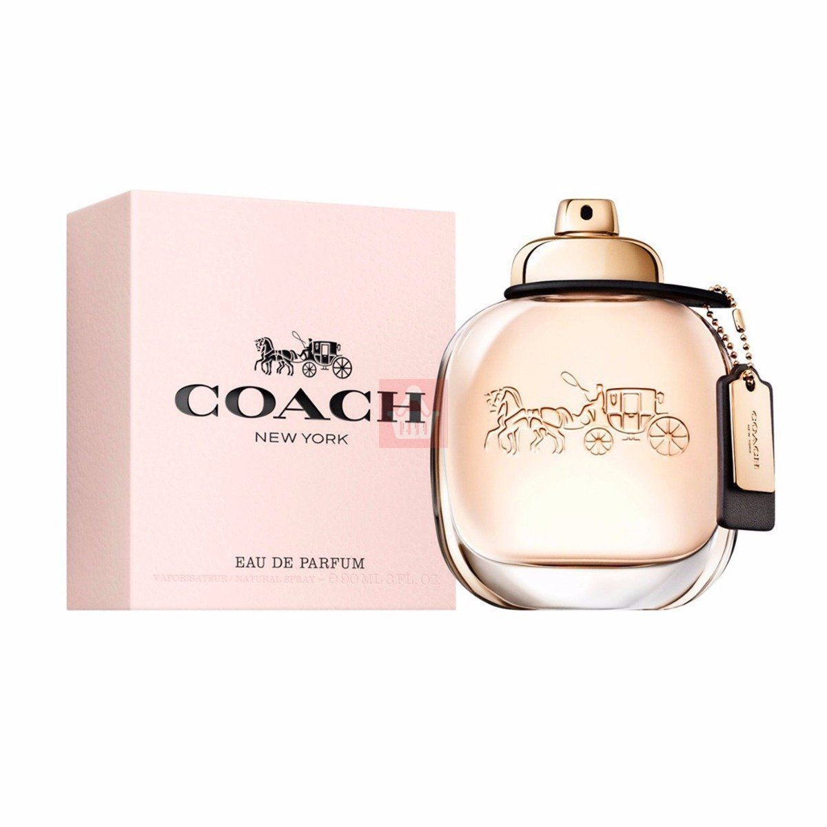 Coach best sale perfume superdrug