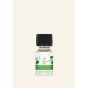 Basil & Thyme Home Fragrance Oil -10 ml 