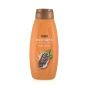 Tesco Extracts Cocoa Butter Body Lotion 400ml