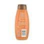 Tesco Extracts Cocoa Butter Body Lotion 400ml