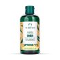 The Body Shop Ginger Scalp Care Shampoo - 250ml