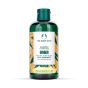 The Body Shop Ginger Scalp Care Shampoo - 250ml