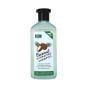 XHC Coconut Hydrating Shampoo 400ml