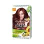 Garnier - Color Naturals Nourishing Permanent Hair Color - 6.60 Intense Red - 70ml