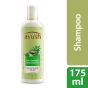 Lever Ayush Anti-Dandruff Neem Shampoo - 175ml