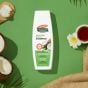 Palmer's Coconut Oil Moisture Boost Shampoo For Dry Damage Or Colour Treated Hair 400ml