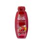Garnier Argan Oil & Cranberry Ultimate Blends Shampoo - 360ml