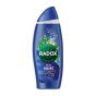 Radox Feel Awake 2 In 1 for Men Shower gel & Shampoo 250ml