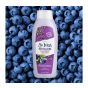 St. Ives Revitalizing Acai, Blueberry & Chia Seed Oil Body Wash - 709ml
