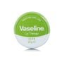 Vaseline Lip Therapy Aloe - 20gm