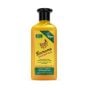 XHC Banana Shampoo - 400ml