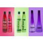 Xpel Combo Pack 12 - Xpel 6 Pieces - Biotin, Keratin, & Tea Tree Series Shampoo & Conditioner Collection 
