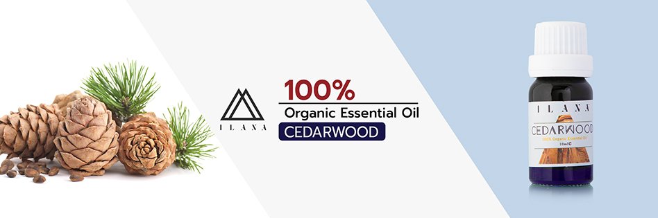Ilana 100% Organic Essential Oil Cedarwood