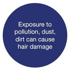 Exposyre to pollution, dusst, dirt can cause hair damage