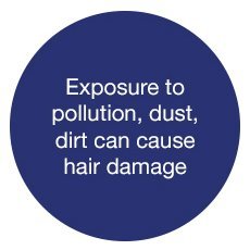 Exposyre to pollution, dusst, dirt can cause hair damage