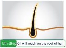Step 5 - Oil will reach on the root of hair