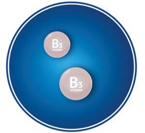vitamin B3