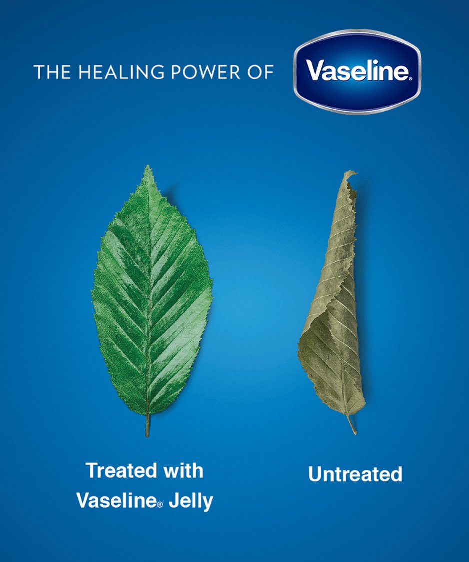 Healing power of baseline.